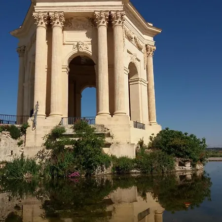 Un Oasis Au Coeur De La Vieille Ville, Classe 4 Etoiles Montpellier Exterior photo