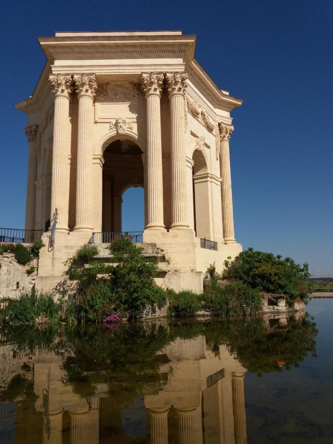 Un Oasis Au Coeur De La Vieille Ville, Classe 4 Etoiles * Montpellier